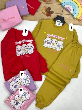 ست بلوز و شلوار کد:2024