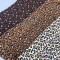 تاپ کد 8006